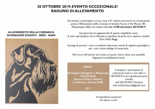 raduno schnauzer allevamento della cirenaica 20 ottobre 2019